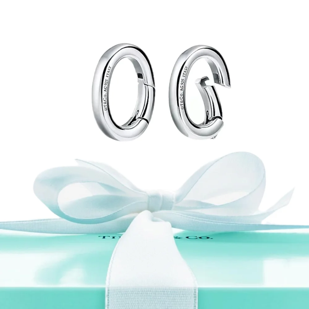 BNIB NWT Authentic Tiffany & Co. Clasping Link Sterling Silver